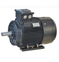 Moteur électrique Hoyer TECO ATB VEM 90kw 132KW 150kw 160kw Moteur triphasé LENZE SCHORCH MARATHON Moteur à induction B3 B5