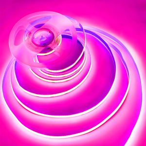 Sxzm Bán Buôn 480 Đèn LED 8Mm Chiều Rộng 24V Tinh Khiết Tím <span class=keywords><strong>UV</strong></span> LED Strip Băng Ánh Sáng Thay Đổi Độ Sáng Linh Hoạt COB Cuttable Cho PC Trò Chơi Cảnh Quan - Product Image 2