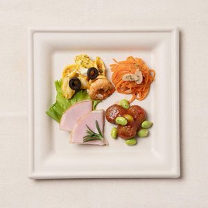 Dùng một lần mía Bộ đồ ăn compostable phân hủy sinh học bã mía khay tấm vuông - Product Image 3