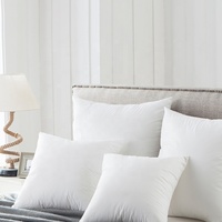 Coussin personnalisé directement de l'usine, décoration intérieure, oreiller de canapé-lit en plumes, vente en gros, oreiller et coussin blancs bon marché