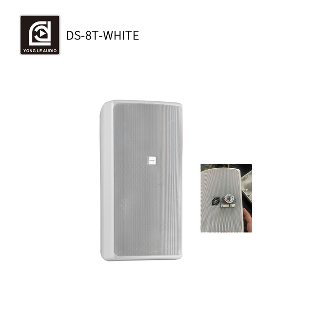 Adjustable Wall Mounted Outdoor Speaker Box Full Range Audio Sound System for Big Parties 2-Way Active Passive for Schools