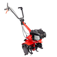 EUROSYSTEMS-Motoculteur Euro 3 EVO pour la coupe de l'herbe, moteur inversé OHV, 170 cc, puissant