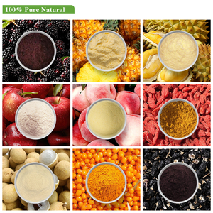 Di alta Qualità Biologico UE Liofilizzato Succo di Frutta In Polvere - Product Image 3