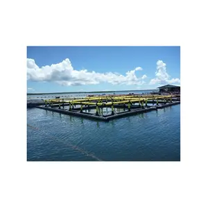 Cages en filet flottantes d'aquaculture de haute qualité en PE pour le tilapia à bas prix fabriquées en chine