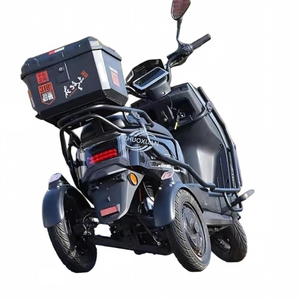 รถสามล้อไฟฟ้าส่งของ Sky 1000W 72V ความเร็วสูง แบบเปิด บรรทุกสินค้าได้ 100-200 กก. - Product Image 1