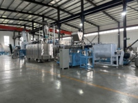 Ligne de production automatique d'aliments pour animaux de compagnie, usine de fabrication d'aliments secs pour chats et chiens de grande capacité, machine industrielle de fabrication d'aliments pour chiens et chats