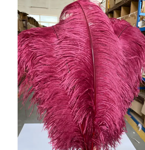 Plumes d'autruche teintées en gros, 50-80 cm, blanches <span class=keywords><strong>et</strong></span> noires, longues, pour centres de table de mariage - Product Image 5