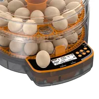 Nouvelles couveuses à œufs intelligentes automatiques avec retournement programmé des œufs, 12V, pour usage domestique, pour œufs de cailles, de poussins et d'autres oiseaux, couveuse pour l'éclosion de volailles