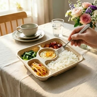 Emballage alimentaire jetable biodégradable, compostable, sans PFAS, compatible micro-ondes, 5 compartiments, écologique, pour riz