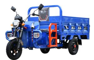 Nuovo Triciclo Elettrico Chang Li con Grande Capacità di Carico 1000kg e Tre Ruote - Product Image 2