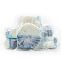 Rayshine-Bloc toilette bleu emballé sur mesure 50g * 2, détergent de nettoyage pour cuvette à bulles bleues, javellisant Flash 300 fois jetable
