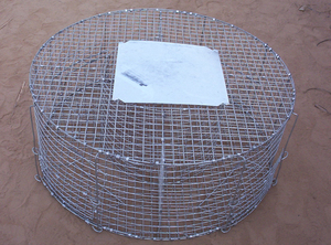 Goedkope Liebang Live Vogel Vallen voor Magpies Duiven Crows Mussen voor Sales - Product Image 2