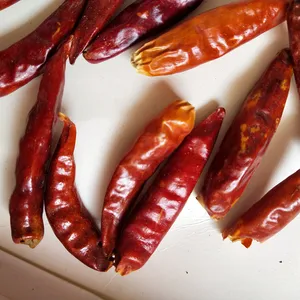 Zeer Hot Pittige Nieuwe Gewassen Beste Prijs Chili Peper Uit China Als Ruwe Spice