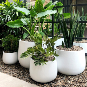Pots à plantes en fibre de verre à bas prix, style ciment, résistants aux intempéries, durables, écologiques, pour l'intérieur et l'extérieur, pour la décoration de jardin - Product Image 6