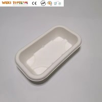 Barquette en canne à sucre biodégradable 100 ml, boîte alimentaire rectangulaire compostable, barquette à sushi écologique avec couvercle