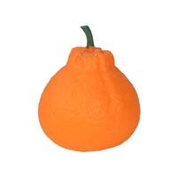 Stressverlichtende speelgoedjes Creatieve fruitspeelgoedjes Langzaam terugverende stressverminderende simulatie Oranje knijp- en muziek-speelgoedjes