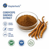Extrait de Cordyceps Militaris Naturel Premium, Extrait de Cordyceps 10:1, Extrait de Cordyceps Militaris en Vrac pour Marchés d'Exportation