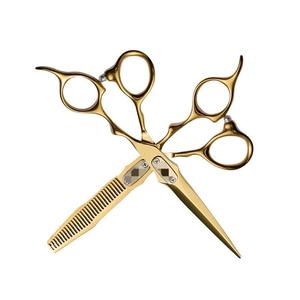 Hairdressing Scissors Set 6 Inch Stainless Steel Thinning Shears Hair Cutting Tools For Salon Use - Product Image 1