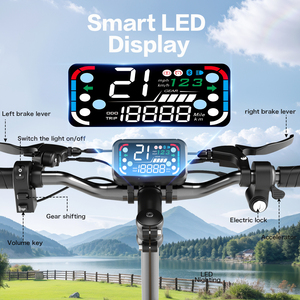 Monopattino Elettrico da Pendolarismo con Doppio Cestino e Sedile, Pneumatici da 14 Pollici, Consegna Rapida, per Adulti - Disponibile in Magazzino UE/USA - Product Image 4