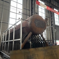 Chaudière à combustion multi-combustibles DZL 2 tonnes à haute isolation et antirouille, adaptable pour atelier de briques et de ciment