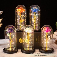 Cadeau de la Saint-Valentin, fête des mères, lumière LED, feuille d'or 24 carats, roses en cristal, galaxie, artisanat, écologique, cylindre transparent