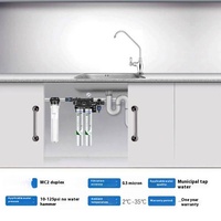 Aihuipu (Everpure) US MC2 Double purificateur d'eau commercial pour la filtration directe du lait, du thé et des cafés pour la voiture