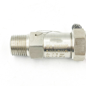 Válvula de Seguridad Shanghai Fenghong Sfa 22C300P de 1/2 Pulgada para Alivio de Presión de Gas, Uso Industrial en Refrigeración - Product Image 4