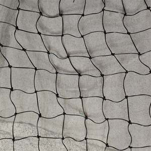 בנייה למניעת ציפורים 3*3 ס""מ רשת <span class=keywords><strong>HDPE</strong></span> שחור ציד מגן רשת נגד ציפורים עם מעכב בעירה מסוקס - Product Image 2