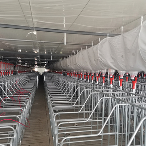 Sistema de Línea de Alimentación Automática de Precisión para Granjas de Cerdos |   Equipo para Alimentación de Ganado que Reduce el Desperdicio - Product Image 5