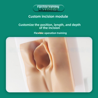 Modèle de pratique de suture en obstétrique et gynécologie Module de formation à la suture vulvaire périnéale Simulateur de compétences de suture avancé