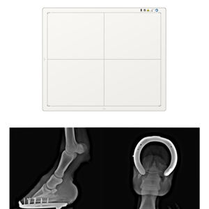 Equino rilevatore a schermo piatto Iray cavallo uso Wireless digitale schermo piatto Dr <span class=keywords><strong>Cr</strong></span> sistema veterinaria Xray Machine - Product Image 1