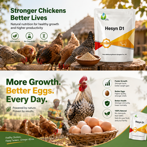 Aspergillus Oryzae Répare les coquilles d'œufs fines et fissurées, Soulage la diarrhée due au stress thermique chez les <span class=keywords><strong>poules</strong></span> pondeuses, Additif alimentaire multi-enzymes - Product Image 1