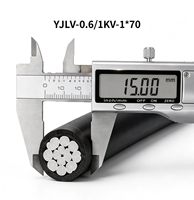 YJLV 0,6~1kV 1*70mm² Aluminiumleiter XLPE-isoliertes Stromkabel