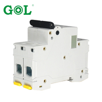 Interruptor Automático Miniatura (MCB) Monofásico/Bifásico de 220V CA 40A con Capacidad de Ruptura de 10KA
