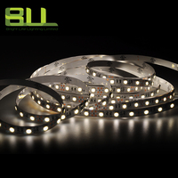 Bande lumineuse 4000K SMD 5050 60leds/m cri80 + découpable pour l'éclairage de décoration de fête de festival