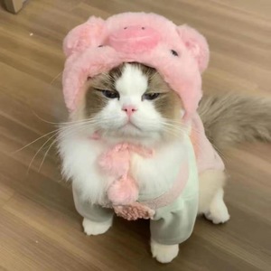 Lindo disfraz de perro gato con sombrero ropa para mascotas cachorro Otoño Invierno abrigo pijamas perro gato sombrero suéter polar cálido gato ropa - Product Image 5