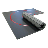 Ausrollbare Matten für Jiu-Jitsu, Ringen, Judo, Kampfsport-Training, 20mm Schwamm, Leichtgewichtig, XPE+PVC, Rutschfest, Umweltfreundlich