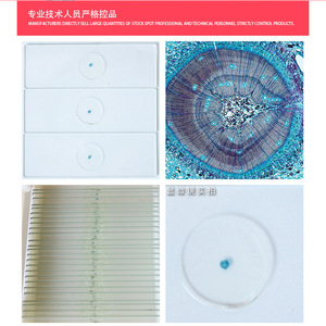 Clearly structured, stained transverse sections of fresh pine stems used in biology teaching laboratories for <b>microscopic</b> - Product Image 4