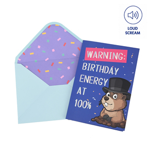 Carte de vœux sonore personnalisée avec design de dessin animé amusant en 3D, son haute fidélité avec enveloppe pour un cadeau d'anniversaire - Product Image 1