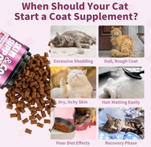 ओम गंध बिल्ली की त्वचा और कोट स्वास्थ्य चचा ओमेगा 3 के साथ, स्वस्थ त्वचा की खुराक और विटामिन के लिए बायोटिन - Product Image 3