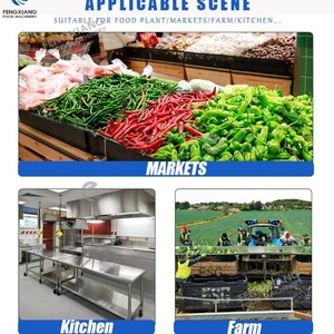 Laveuse De Fruits Ultrasonsozone - Product Image 6