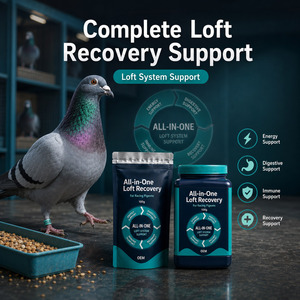Electrolitos en Polvo para Deportes de <span class=keywords><strong>Palomas</strong></span> de Competición, para Recuperación Post-Carrera, Hidratación, Energía y Rendimiento, Marca Privada OEM - Product Image 6