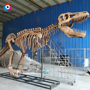 Exhibición de museo, modelo de <span class=keywords><strong>esqueleto</strong></span> de <span class=keywords><strong>dinosaurio</strong></span>, fósil, <span class=keywords><strong>esqueleto</strong></span> de <span class=keywords><strong>dinosaurio</strong></span> de tamaño <span class=keywords><strong>Real</strong></span> - Product Image 5