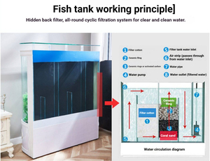 Acuario Ecológico para Mascotas con Entorno Autosustentable y Bajo Mantenimiento - Product Image 3