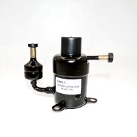 FS R134a Dc 12v Mini Compresseur Frigorifique