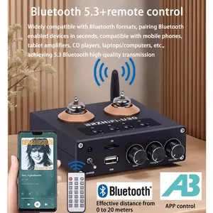 Préamplificateur audio Weiliang U30 Bile Front Stage BT <span class=keywords><strong>U</strong></span> Disk Fever à <span class=keywords><strong>tubes</strong></span> électroniques 2.0 canaux, amplificateur de <span class=keywords><strong>musique</strong></span> fabriqué en Chine continentale - Product Image 2