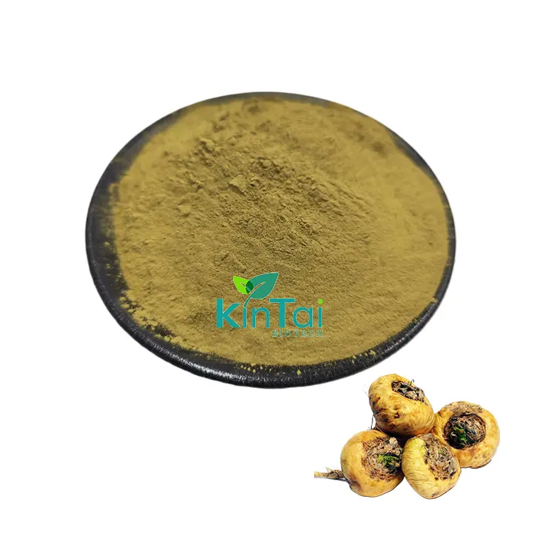 Natural High Quality Maca Root Extract Black Maca Extract Powder
