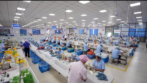 Almohadillas de Felpa Creativas para Fiesta Familiar, Juguetes de Peluche de Ajo, Cebolla Verde y Melocotón - Product Image 5