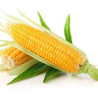 high fructose corn syrup corn syrup price candy corn syrup