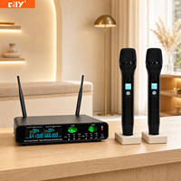 Système de microphone sans fil à tube électronique 2 canaux M-5102 avec technologie d'identification numérique anti-parasitage pour spectacles, fêtes et animateurs
